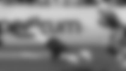 Minnesota wide receiver Tyler Johnson (6) makes a diving catch in front of Auburn defensive back Jordyn Peters (15) during the second half of the Outback Bowl NCAA college football game Wednesday, Jan. 1, 2020, in Tampa, Fla. (AP Photo/Chris O'Meara)