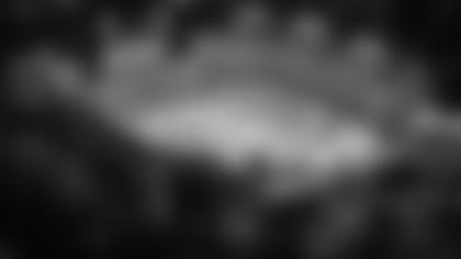 Stadium11_23_11_1_t.jpg
