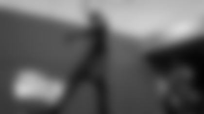 Dolphins-How-to-Watch