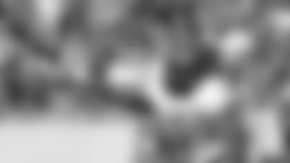 (AP Photo/Al Goldis)