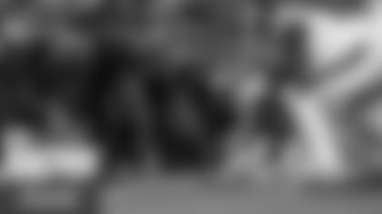 rapid-reaction-giants