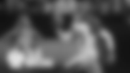 ArticleFranchiseLogos_2-(1)