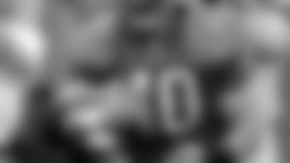 alstott04_06_01_1.jpg