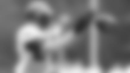 Revis08_13_13_2_a.jpg