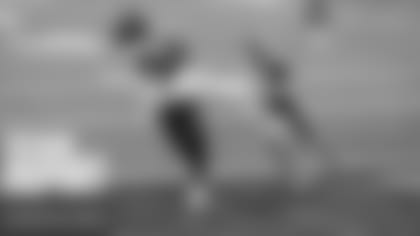 postgame report lions