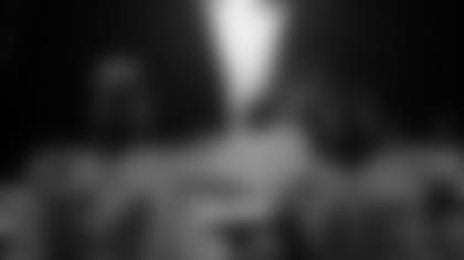 Mini-Bye viewing guide_