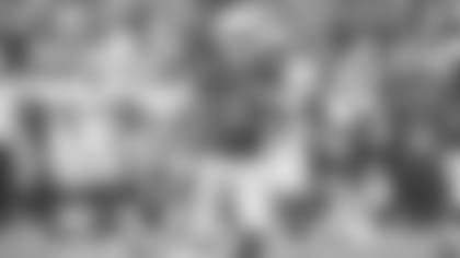 WR Larry Fitzgerald catches the 'Hail Larry' against the Packers in the 2015 NFC Divisional Round.