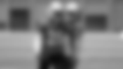 RB Chase Edmonds (left) and RB T.J. Logan during offseason work