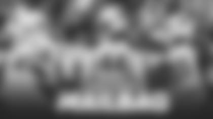 Mailbag Gardeck Golden Jones