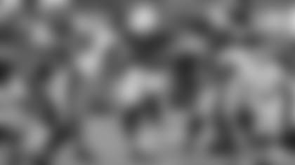 RB David Johnson made the most of his five touches against the Steelers.