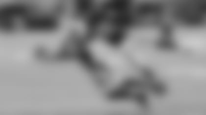 Wide receiver Larry Fitzgerald makes a diving grab against the Vikings during the Cardinals' last trip to Minnesota in 2016.