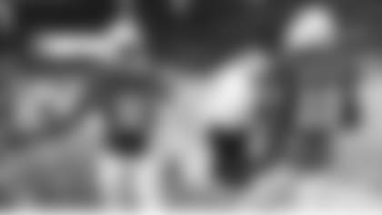 Entre los jugadores que Cardenales dieron de baja el sábado están los receptores Greg Little (18) y Brice Butler.