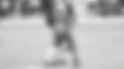 ChanDefensePreview