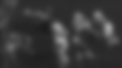 FITZ-2.jpg