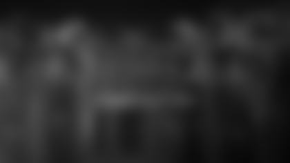2015-Historical-Video_May-revised_1-1mp400_29_45_12Still001--nfl_mezz_1280_1024.jpg