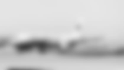 The Cardinals team plane, which was unveiled in 2021.