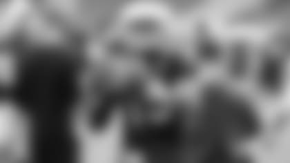 Former CFL quarterback Chris Steveler is trying to find a spot on the Cardinals.