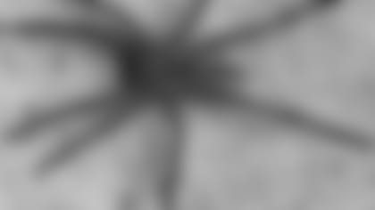 spiderDockBlog.jpg