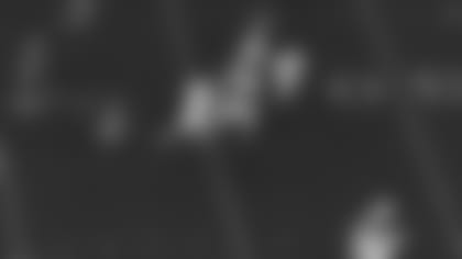 FITZ-6.jpg