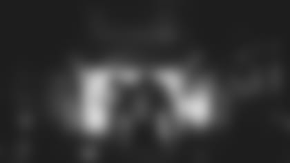 Images of WR Larry Fitzgerald in 2019 following his announcement that he will return next season