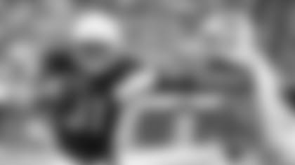 RB David Johnson