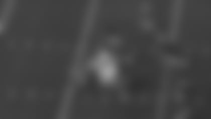 TAYLOR-5.jpg