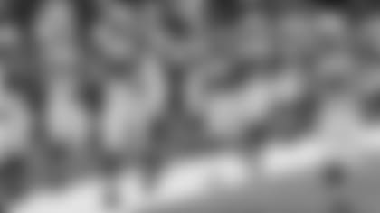 53guess