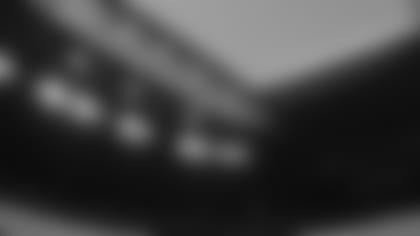 roofopen.jpg