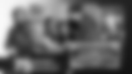 AZC_22_VioletBidwill_Violet_1920x1080 (1)