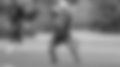 Wide receiver Andy Isabella makes a touchdown catch during a practice at rookie minicamp.