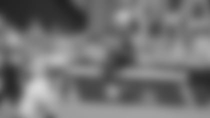 Larry Fitzgerald makes the catch that sets the Cardinals franchise record in 2010.