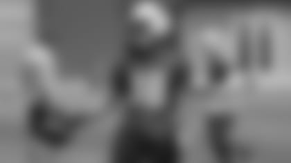 WR Brice Butler during offseason work