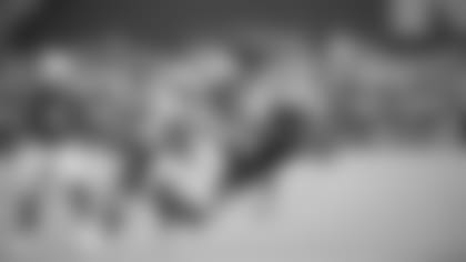 WR Larry Fitzgerald makes a diving catch against the Seahawks