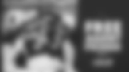 Free agent primer safety FIXED