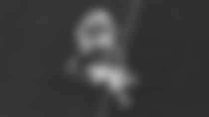FELLS4.jpg