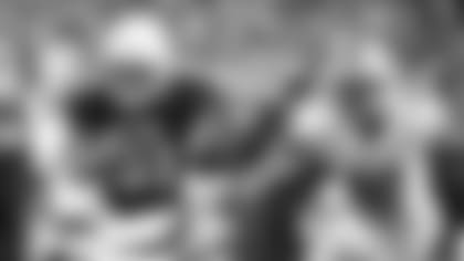 RB David Johnson
