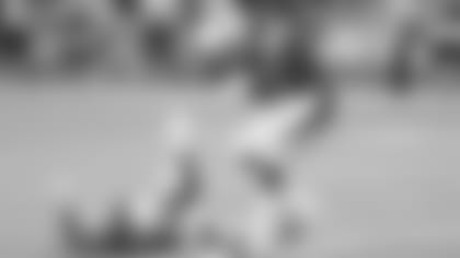 RB David Johnson hauls in a 27-yard touchdown pass against the Lions.