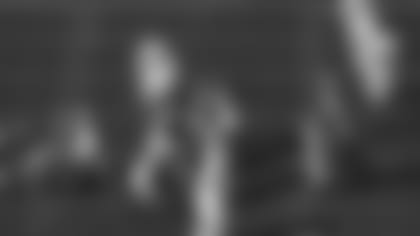 Flea4.jpg