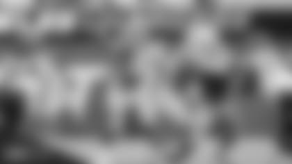 herbert in game updates