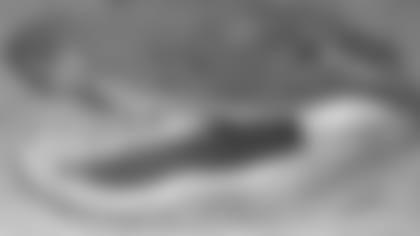 0505gtkgator.jpg