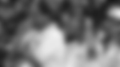 Mike Holmgren and Andy Reid during Green Bay Packers vs. Oakland Raiders on August 8, 1997.