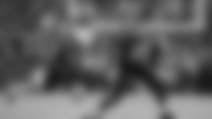PREVIEW2.jpg