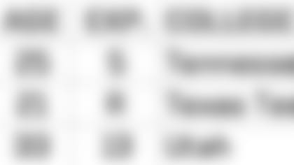 090217-rosterbreakdown-qbs.jpg