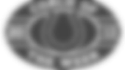 AI_COW_13_colts-RGB.jpg