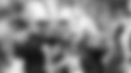vinatieri-adam-01-a.jpg