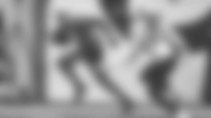 111419_prax-funchess-catch