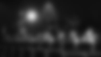 temp2018_0409_MediaAvail_0080--nfl_mezz_1280_1024.JPG