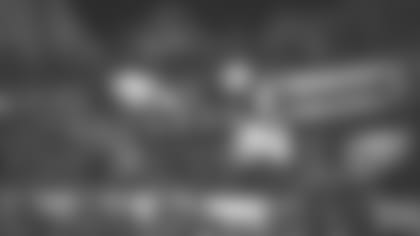 2013_raymond-james-cannon-ap