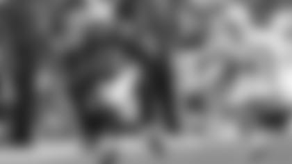 122715_hilton-dolphins