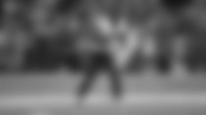 Houston Texans wide receiver Cobi Hamilton (17) lines up for the snap during a regular season Week 17 NFL football game between the Houston Texans and the Indianapolis Colts on Sunday December 31, 2017 in Indianapolis. The Colts beat the Texans 22-13 (Matt Patterson via AP)